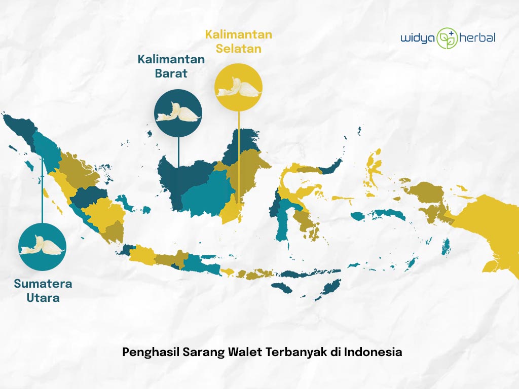 Penghasil Sarang Walet